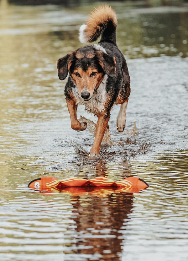 Hunter igrača Aqua Mindelo 52 cm - oranžna